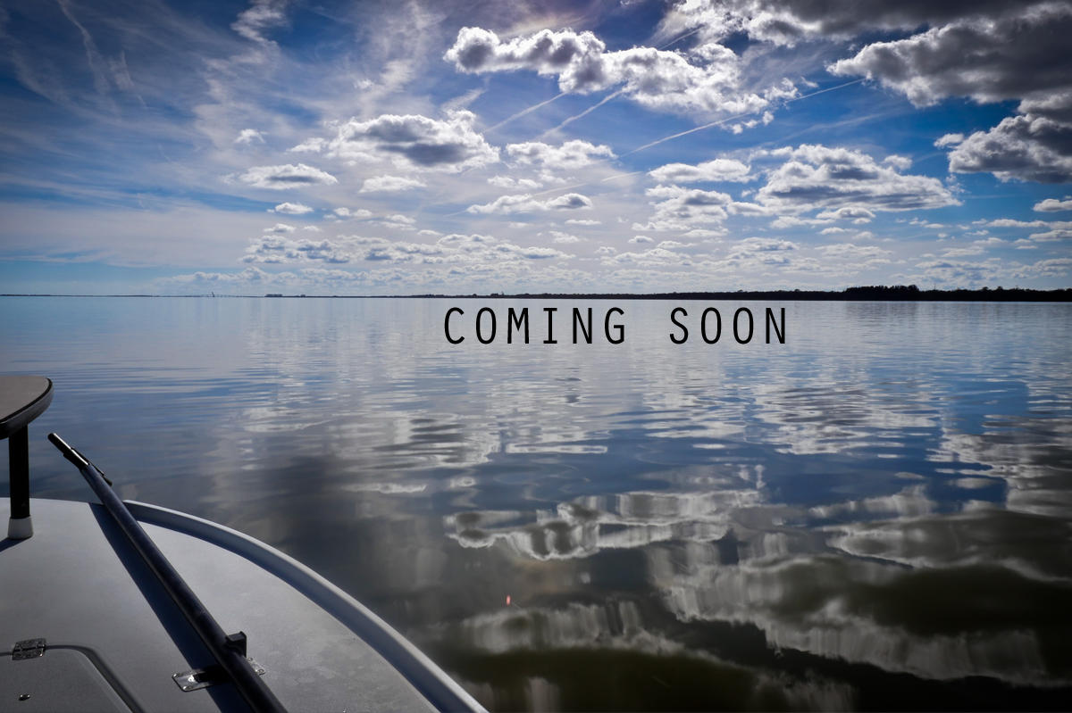 Central Florida Fly Fishing